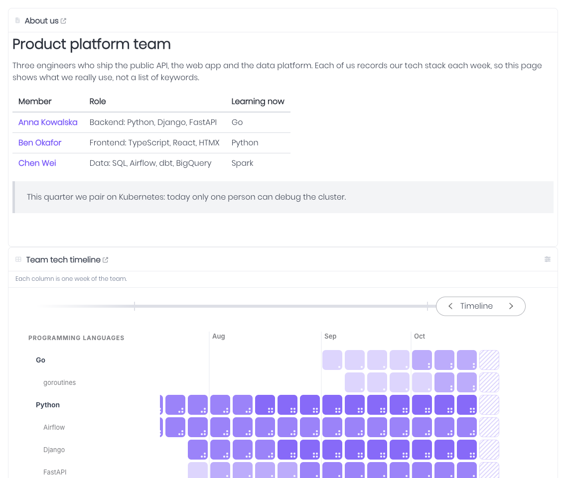 Dashboard of a demo team with a short note and a team technology timeline